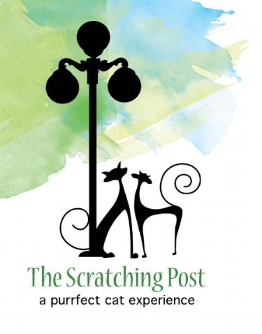 The Scratching Post – Lewisburg Cat Café