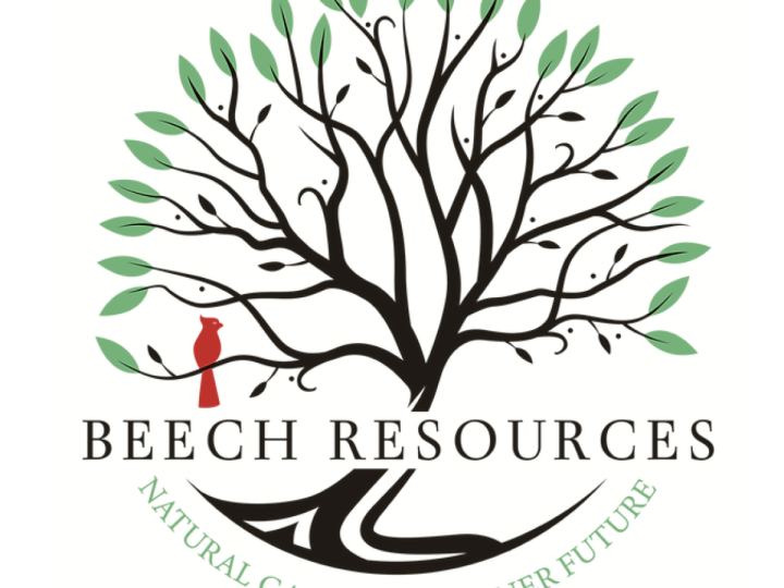Beech Resources